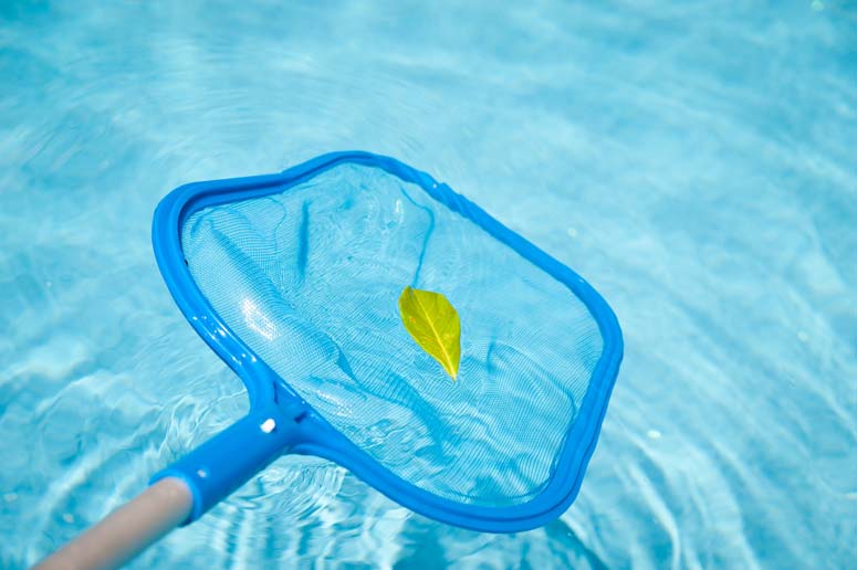 Skimmer net lifting leaves from clear blue pool water during an Auckland service visit